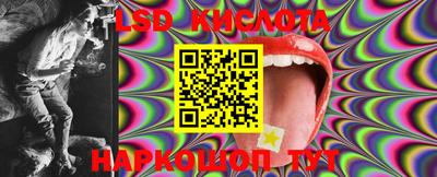 прущие грибы Канаш