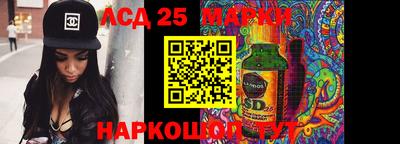 прущие крисы Камышлов