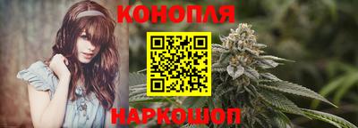 прущие грибы Канаш