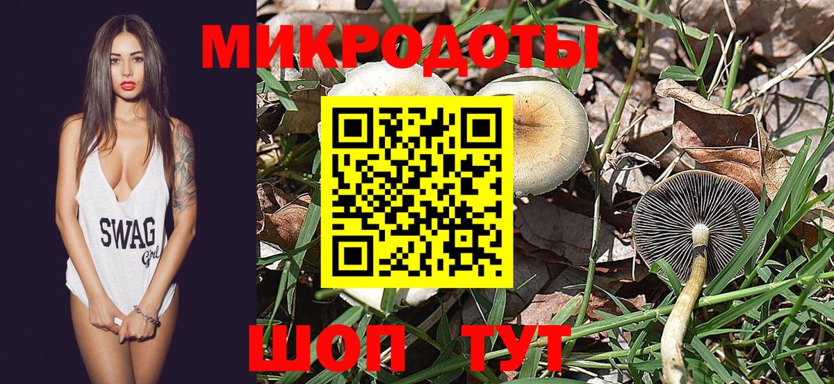 Бутурлиновка  Галлюциногенные грибы мухоморы  Псилоцибиновые грибы Cubensis  Вход с VPN 